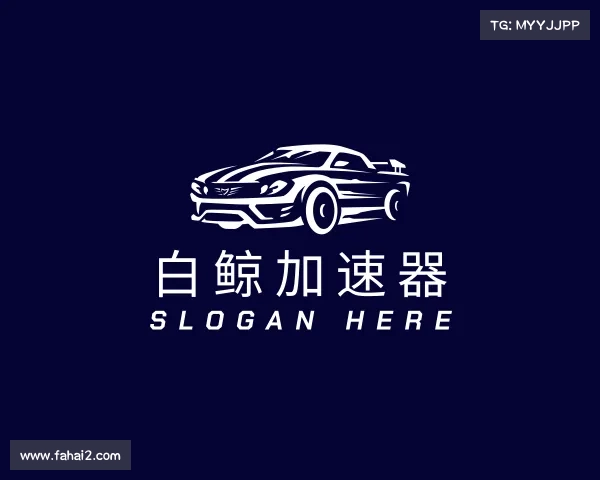 介绍白鲸加速器